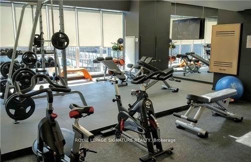 517-20 Minowan Miikan Lane, Toronto, ON - Indoor Photo Showing Gym Room