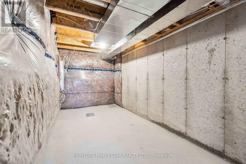 8273 Tulip Tree Drive, Niagara Falls, ON - Indoor Photo Showing Basement