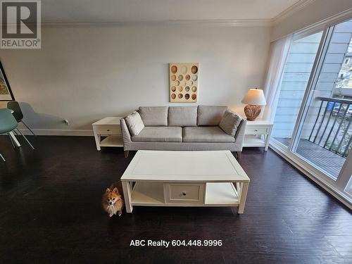 2Fl 2125 W 2Nd Avenue, Vancouver, BC - Indoor Photo Showing Living Room