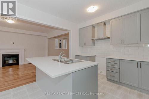 861 Knights Lane, Woodstock, ON - Indoor Photo Showing Kitchen With Fireplace With Double Sink