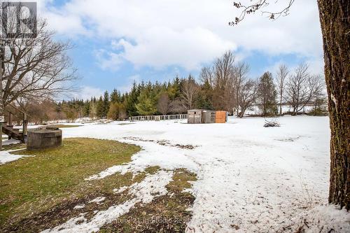 773773 Highway 10, Grey Highlands, ON - Outdoor With View