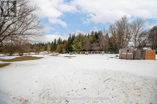 773773 Highway 10, Grey Highlands, ON - Outdoor With View