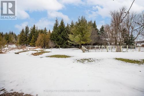 773773 Highway 10, Grey Highlands, ON - Outdoor With View