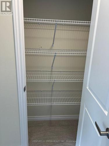 19 Vanilla Trail, Thorold, ON - Indoor With Storage