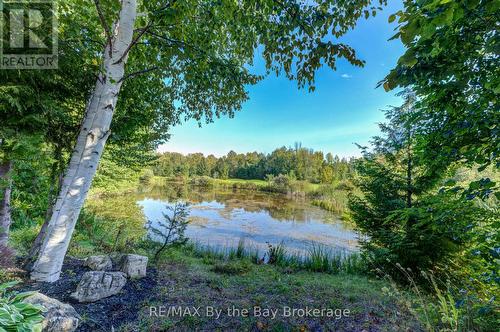 32 Green Briar Drive, Collingwood, ON - Outdoor With Body Of Water With View