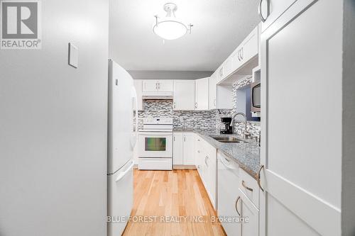 32 Winding Woods Crescent, London, ON - Indoor Photo Showing Kitchen With Double Sink