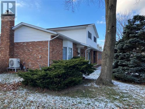 14 Willcox Street, Chatham, ON - Outdoor