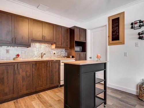 Cuisine - 232 Rue Desjardins, Sainte-Agathe-Des-Monts, QC - Indoor Photo Showing Kitchen