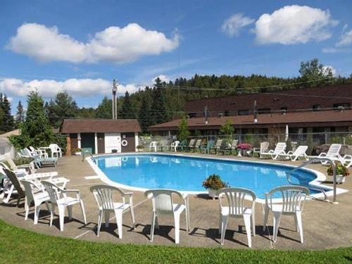 Piscine - 232 Rue Desjardins, Sainte-Agathe-Des-Monts, QC - Outdoor With In Ground Pool