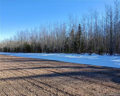 Lot 23-37 Snowfox Dr, Irishtown, NB 