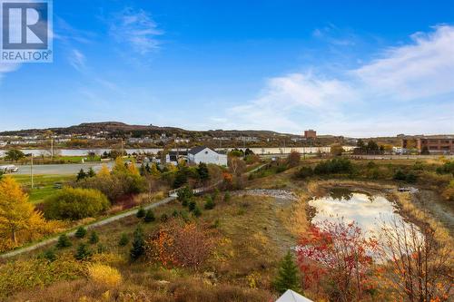 21 Augusta Court, St. John'S, NL - Outdoor With View