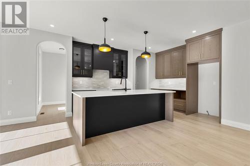 257 Charles, Essex, ON - Indoor Photo Showing Kitchen With Upgraded Kitchen