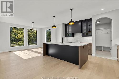 257 Charles, Essex, ON - Indoor Photo Showing Kitchen With Upgraded Kitchen