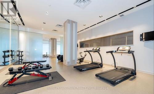 502 - 128 Fairview Mall Drive, Toronto, ON - Indoor Photo Showing Gym Room