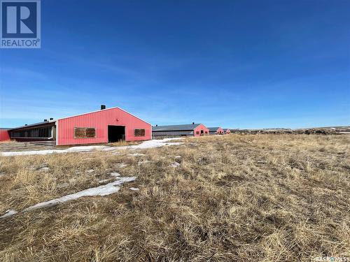 Pig-Barn, Excelsior Rm No. 166, SK 