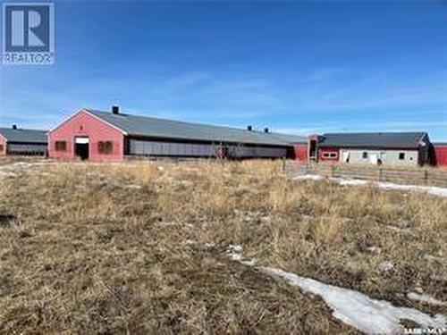 Pig-Barn, Excelsior Rm No. 166, SK 