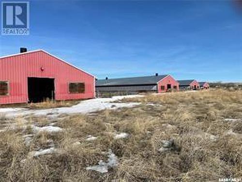 Pig-Barn, Excelsior Rm No. 166, SK 