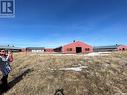 Pig-Barn, Excelsior Rm No. 166, SK 