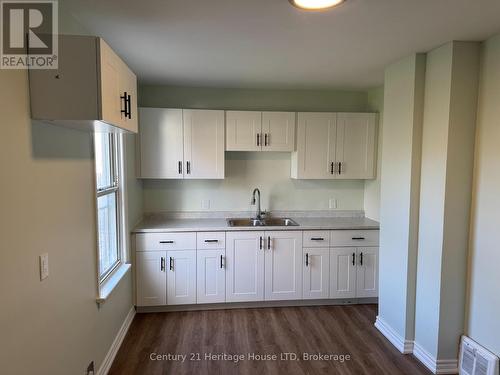 4768 St Lawrence Avenue, Niagara Falls (210 - Downtown), ON - Indoor Photo Showing Kitchen With Double Sink