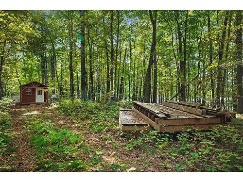 Land/Lot - Ch. Harmony Bay, L'Île-Du-Grand-Calumet, QC 