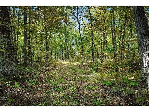 Land/Lot - Ch. Harmony Bay, L'Île-Du-Grand-Calumet, QC 