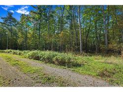 Land/Lot - 