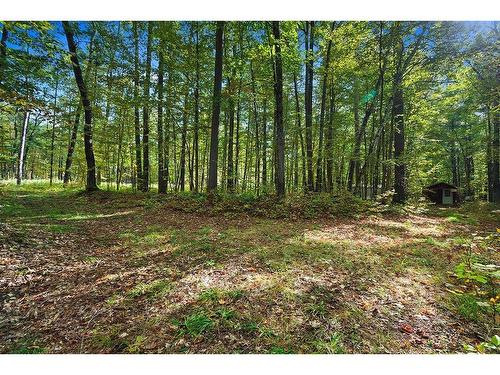 Land/Lot - Ch. Harmony Bay, L'Île-Du-Grand-Calumet, QC 