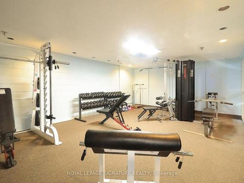 102-4005 Don Mills Rd, Toronto, ON - Indoor Photo Showing Gym Room