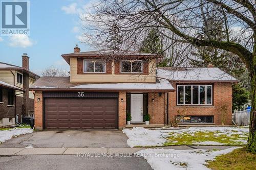 36 Colebrook Court, Kitchener, ON - Outdoor