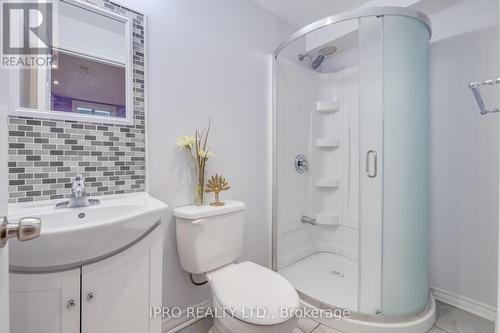 229 Cedric Terrace, Milton, ON - Indoor Photo Showing Bathroom