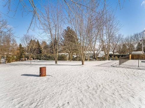 Land/Lot - 124 Rue Des Sittelles, Brigham, QC - Outdoor