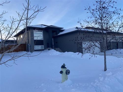 4 Ingstad Way, Brandon, MB - Outdoor