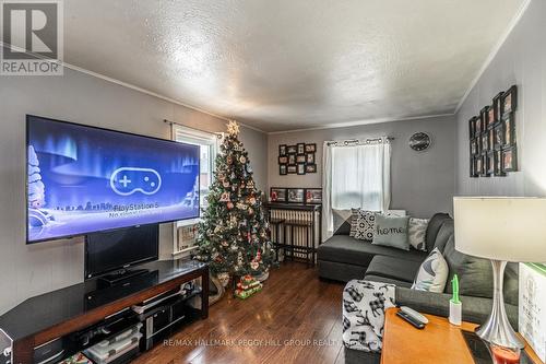 183 Dunlop Street W, Barrie, ON - Indoor Photo Showing Living Room