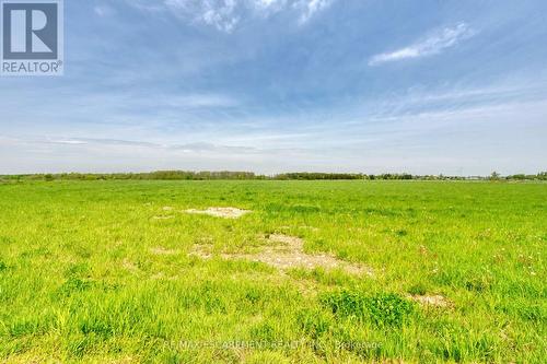 389 Concession 4 Road, Haldimand, ON - Outdoor With View