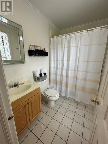 428 Main Road N, Mount Carmel, NL - Indoor Photo Showing Bathroom