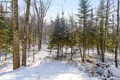 621 North Shore Rd Road, Lanark Highlands, ON 