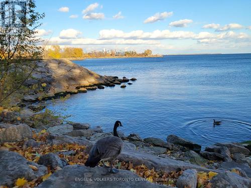 3 - 20 Norris Crescent, Toronto, ON - Outdoor With Body Of Water With View