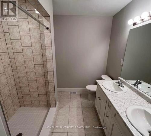 311 Chapel Hill Drive, Kitchener, ON - Indoor Photo Showing Bathroom