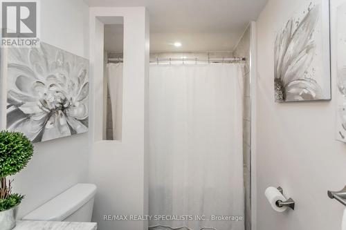 20 Chelvin Drive, Halton Hills, ON - Indoor Photo Showing Bathroom