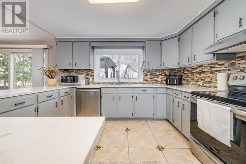 209 Cotterie Park, Leamington, ON - Indoor Photo Showing Kitchen With Upgraded Kitchen