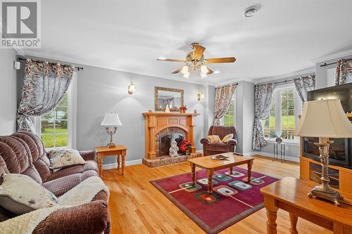 43-45 Foxtrap Access Road, Cbs, NL - Indoor Photo Showing Living Room With Fireplace