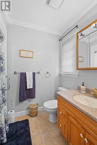 43-45 Foxtrap Access Road, Cbs, NL - Indoor Photo Showing Bathroom