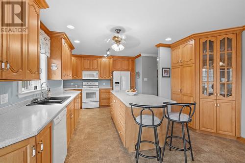 43-45 Foxtrap Access Road, Cbs, NL - Indoor Photo Showing Kitchen With Double Sink