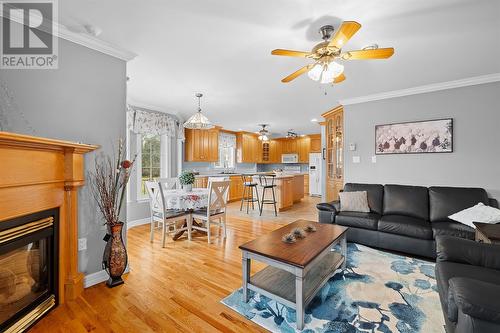 43-45 Foxtrap Access Road, Cbs, NL - Indoor Photo Showing Living Room With Fireplace