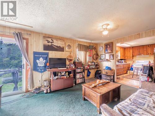 407 Highway 124, Mcdougall, ON - Indoor Photo Showing Living Room