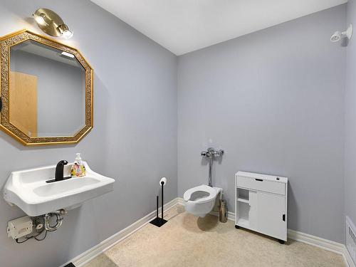 Powder room - 21 Rue Moreau, Saint-Jean-Sur-Richelieu, QC - Indoor Photo Showing Bathroom