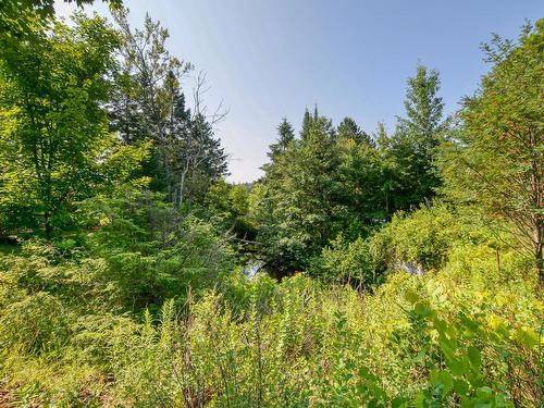 Land/Lot - 1312Z Rue Dion, Val-David, QC - Outdoor