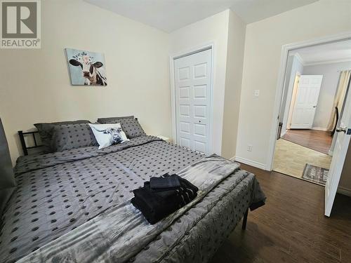 172 Nicholsville Road, Deer Lake, NL - Indoor Photo Showing Bedroom