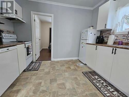 172 Nicholsville Road, Deer Lake, NL - Indoor Photo Showing Kitchen