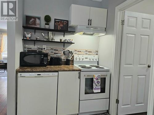 172 Nicholsville Road, Deer Lake, NL - Indoor Photo Showing Kitchen